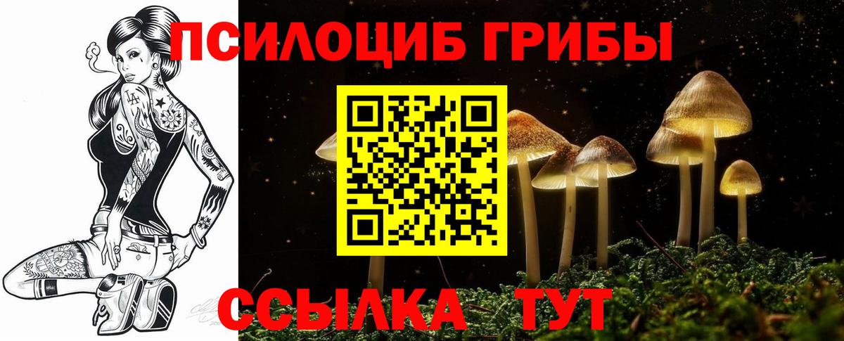Кумертау  Псилоцибиновые грибы Psilocybine cubensis  где купить наркоту  Вход с VPN 