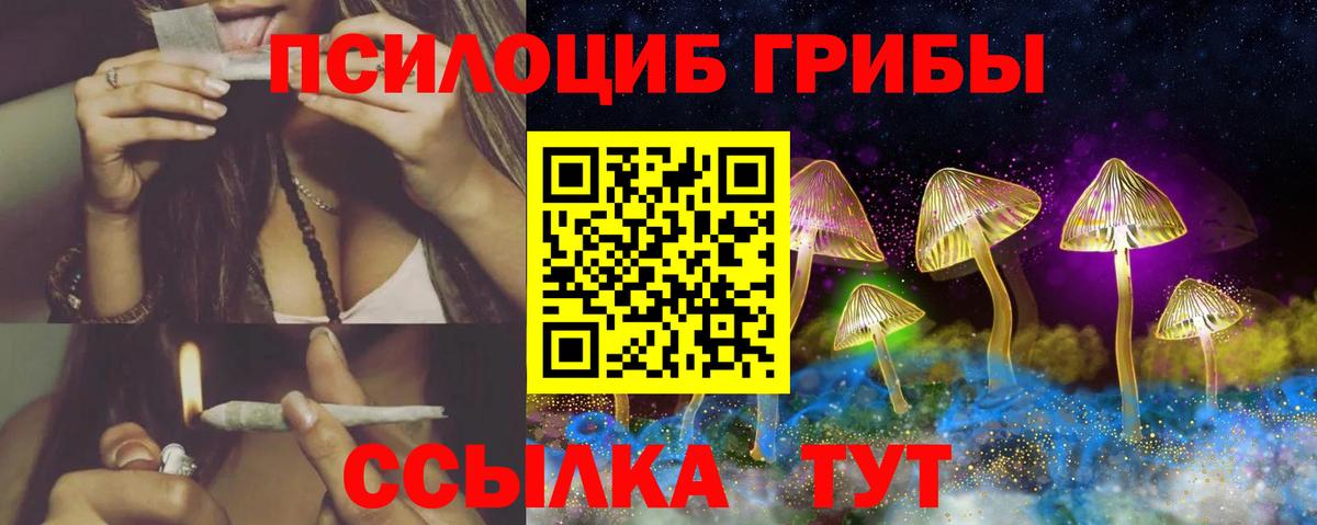 Галлюциногенные грибы прущие грибы Кумертау
